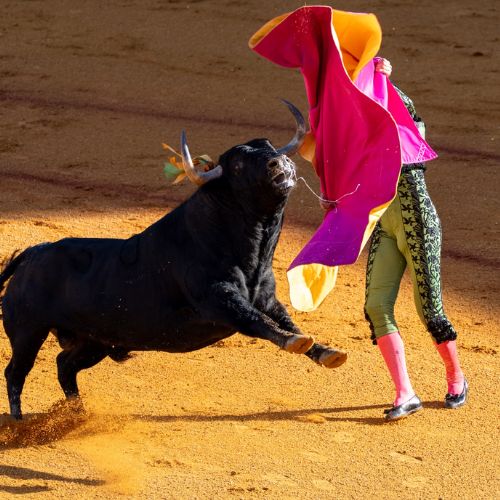 Spain eSIM