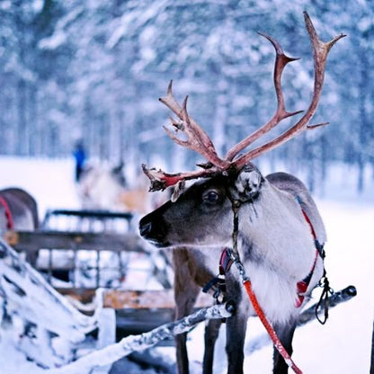 Finland eSIM
